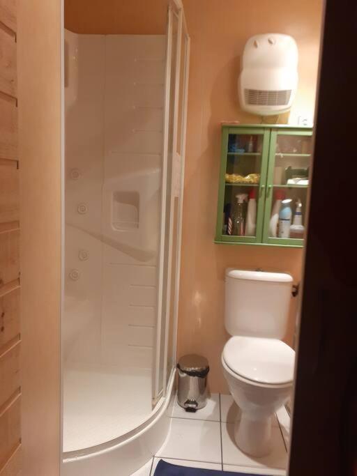Appartement Face Au Thermes Et Au Calme Bagnères-de-Luchon 外观 照片